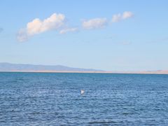-青海湖国家重点风景名胜区