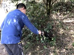 -大姆山草场