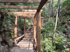 -大岭沟猕猴桃谷风景区