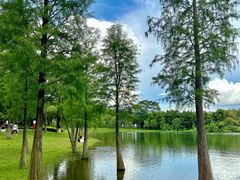 -松山湖风景区松湖烟雨