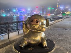 -星光大道