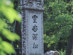 -灵谷景区