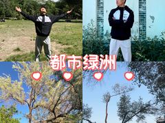 -鲤鱼山公园