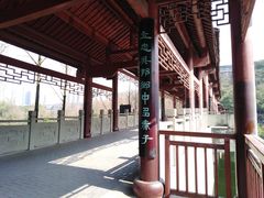 -重庆彩云湖湿地公园