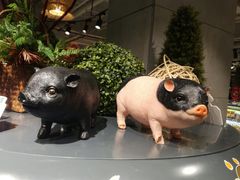 -超级物种(省府店)