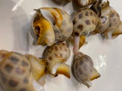 -青蓬蒸汽海鲜·深圳老字号·团建聚会(壹方城店)
