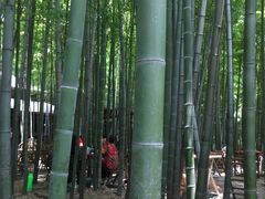 -宝岩生态观光园