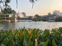 -荔湾湖公园