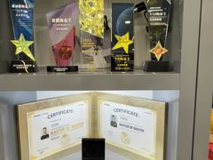 -博锐德·V-KOOL威固隐形车衣·隔热膜(光彩店)