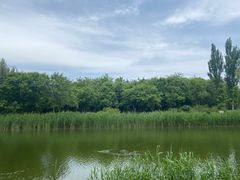 -大兴滨河森林公园