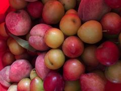 -岣嵝峰国家森林公园