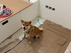 -圣都整装(临安店)