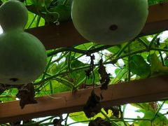 -中国天府农业博览园