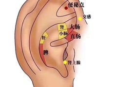 -铭洋专业采耳(田子坊店)