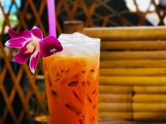-Jungle Kitchen