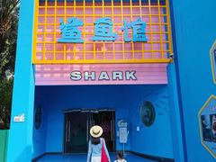 -海合安成都极地海洋公园