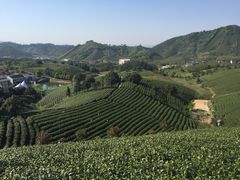 -帐篷客·溪龙茶谷度假酒店