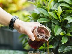 -Infica Coffee