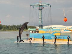 -秦皇岛乐岛海洋王国