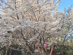 -杨高南路(地铁站)