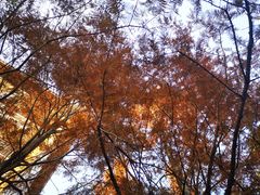 -嵖岈山风景区
