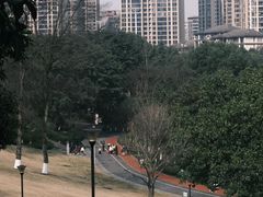 -龙头寺公园