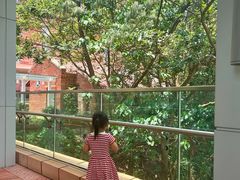 -香港大学