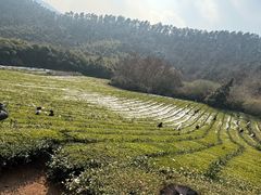 -敬亭山风景名胜区