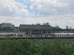 -荔湾湖公园