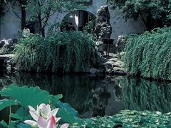 -艺圃