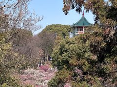 -无锡梅园公园