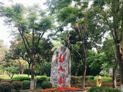 -紫薇公园