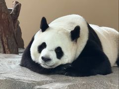 -宁波野生动物园