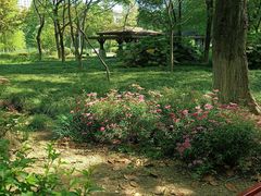 -白塘生态植物园