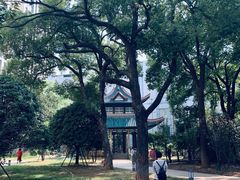 -长沙市青少年宫