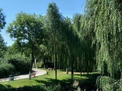 -河北省园博园