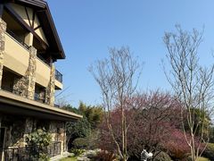 -浙江安吉JW万豪酒店
