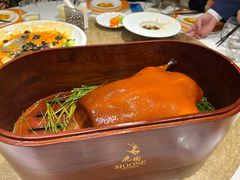 -鹿园 MOOSE(长宁店)
