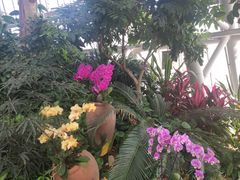 -郑州植物园