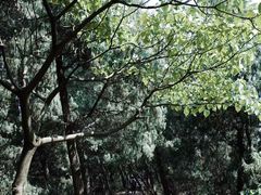 -金堂县云顶石城风景区