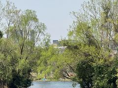 -新江湾城公园