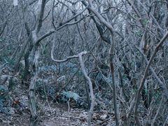 -秀沿路(地铁站)