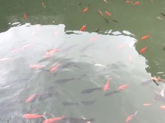 -宁波市保国寺古建筑博物馆