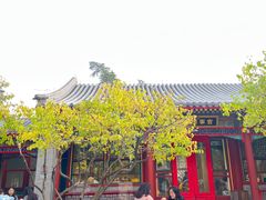 -宫事颐庭·老佛爷贵寿下午茶(颐和园店)