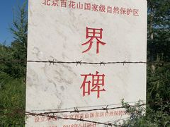 -灵山