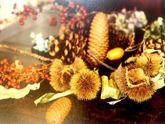 -六出私塾LiuChu•成人美术书法系统课程专业画室(熊婆婆的花园店)