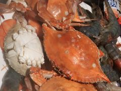 -星伦多 自助料理(圆融店)