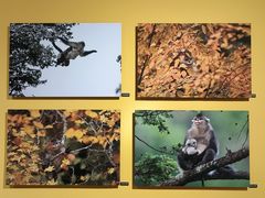 -中国湿地博物馆