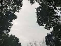 -狼山风景名胜区