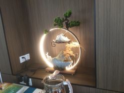 -延禧·科技美肤